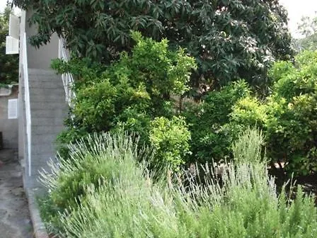 Mandarin Gasthof Sveti Filip i Jakov